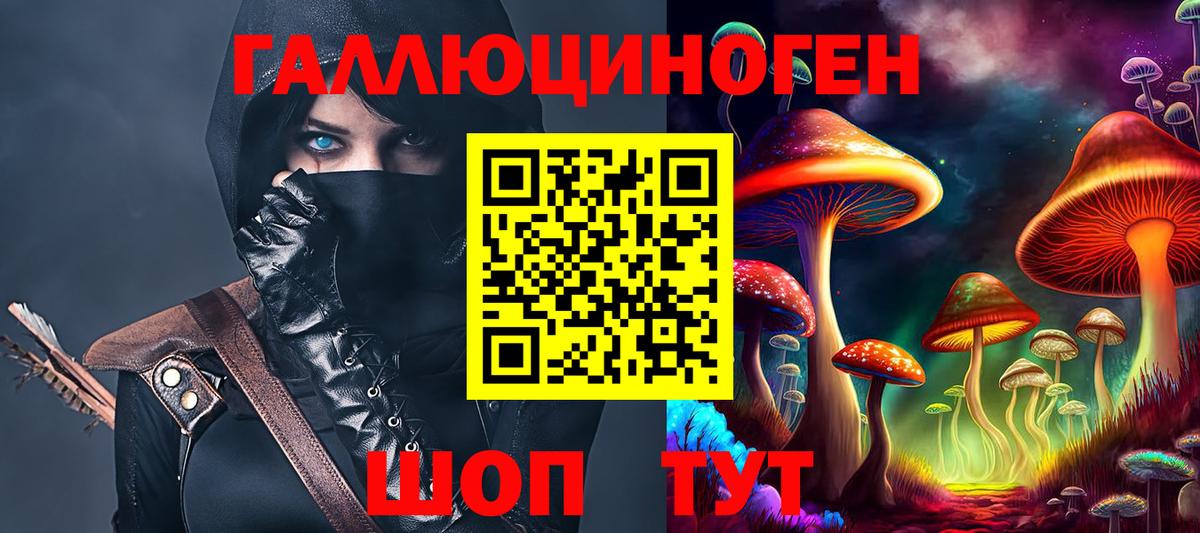 Курчатов  Галлюциногенные грибы мухоморы  Вход с VPN 