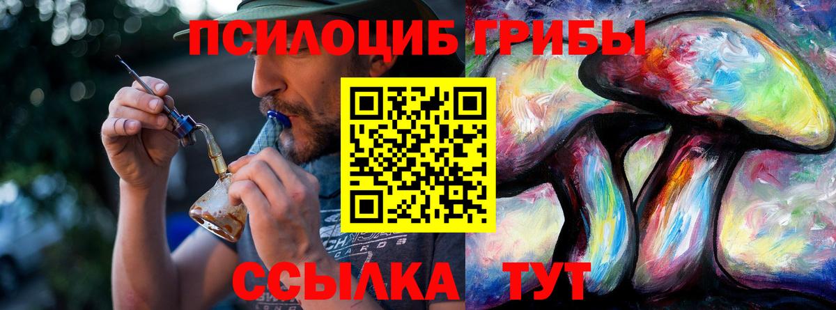 Галлюциногенные грибы GOLDEN TEACHER Курчатов
